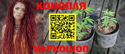 spice Ставрополь