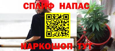 spice Ставрополь