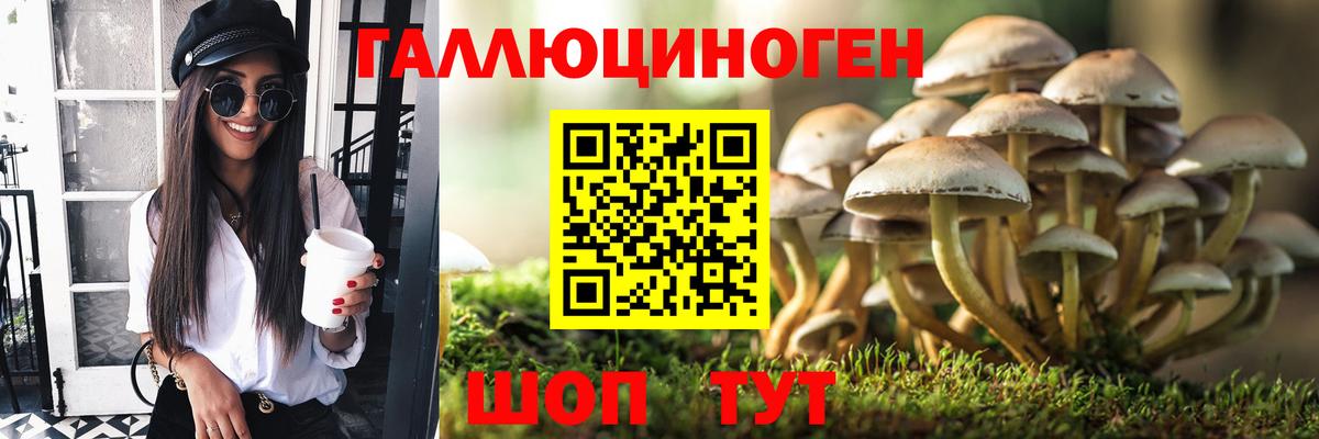 Галлюциногенные грибы прущие грибы  Вход с VPN  Новосибирск 